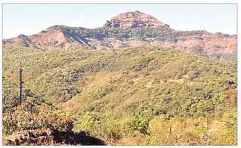 पुणे : हिरडस-मावळ खोर्याला संवर्धन वन क्षेत्र दर्जा