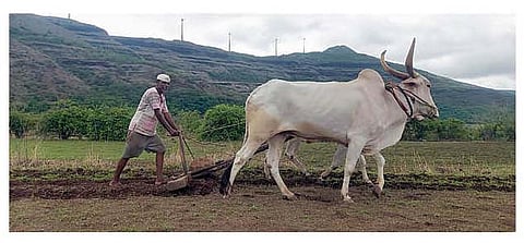 खरिप शेती मशागत