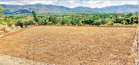 पेरणीसाठी तयार केलेले केतकावळे येथील शेतशिवार.