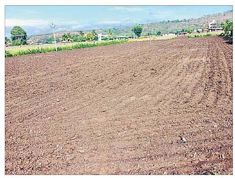 पावसाच्या प्रतीक्षेत असलेली काळी माय.