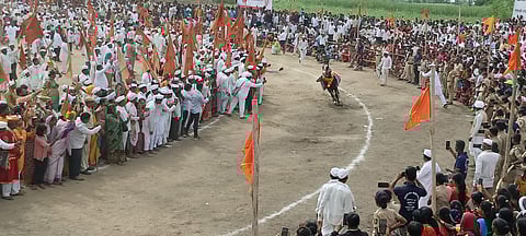 बेलवाडीत अश्वाचे गोल रिंगण मोठ्या उत्साहात पार पडले.