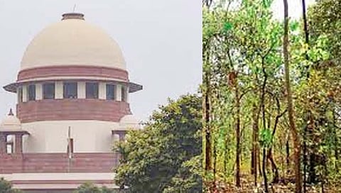Important decision of Supreme Court regarding environment