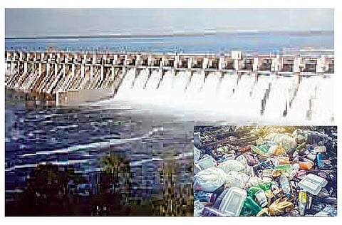 पुणे : उजनीतील प्लास्टिक जलचरांच्या मुळावर; अस्तित्व धोक्यात