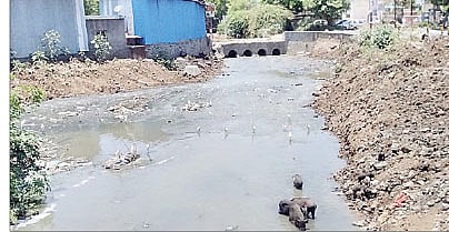 ‘प्रदूषण नियंत्रण’ची महापालिकेला नोटीस; 70 नाल्यांच्या पाण्यावर काय प्रक्रिया केली ते सांगा