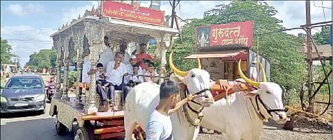 आळंदी - केळगाव रस्त्यावर माउलींच्या रथाला बैलजोडी जुंपून रथ ओढण्याचा सराव करण्यात आला.