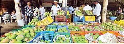 आता चव चाखा गावरान, केशरची; हंगाम बहरल्याने बाजारातील आवक वाढली