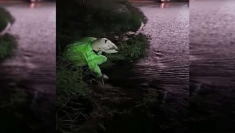 Viral Video : पोलीस कर्मचाऱ्यावर शाब्बासकींचा पाऊस; व्हिडिओ पहाल तर तुम्ही देखील म्हणाल…