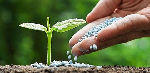 नगर : शेतकर्यांना रासायनिक खतांची यंदाही टंचाई