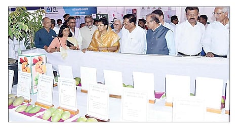 लोणी : राहाता तालुक्यातील बाभळेश्वर येथे सुरु असलेल्या आंबा महोत्सवास जि. प. माजी अध्यक्षा शालिनीताई विखे यांनी भेट दिली. समवेत शास्त्रज्ञ.