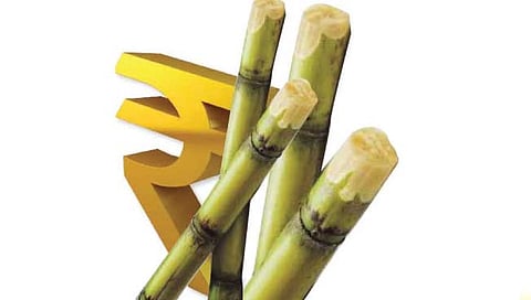 सांगली : ऊस उत्पादकांची तुटपुंज्या बिलांनी बोळवण