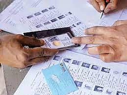 निवडणुकीची प्रारूप मतदार यादी प्रसिद्ध; नागरिकांची यादी पाहण्यासाठी झुंबड