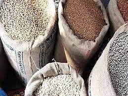 केंद्राकडून गळीतधान्य उत्पादनवाढीस प्राधान्य; साठ कोटी अनुदान