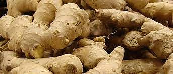 सातारी आल्याची आवक निम्म्यावर, भाव 20 टक्क्यांनी वधारले; बटाटा आणि टोमॅटो स्वस्त