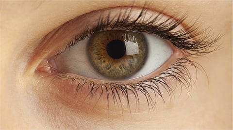 पिंपरी : पालिका शाळांतील एक हजार विद्यार्थ्यांना नेत्रदोष