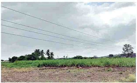 दौंड: महावितरणच्या तारांचा शेतकर्यांना फटका