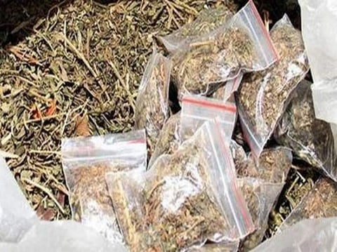 पिंपरी : ओटा स्किममधून पाच किलो गांजा जप्त