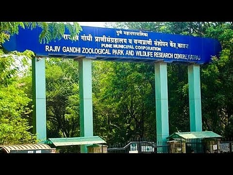 राजीव गांधी प्राणिसंग्रहालयाच्या तिकीटासाठी ऑनलाइन वेबप्रणाली; आठवड्याभरात होणार अंमलबजावणी