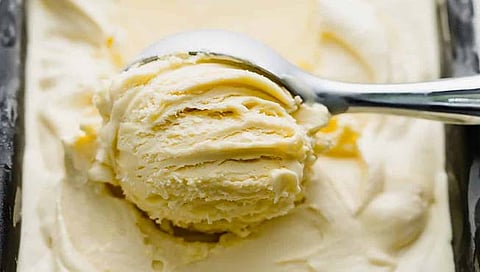 आता एवढंच बाकी राहिलं होतं! नागपुरात चोरट्यांनी चक्क आईस्क्रिमच चोरलं