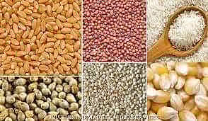 ‘शेत तिथे पौष्टिक तृणधान्य’ मोहीम; कृषी संचालक विकास पाटील यांची माहिती