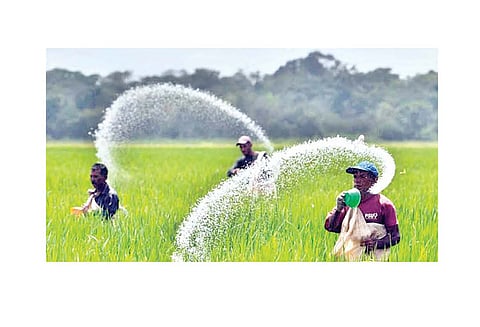 सव्वालाख टन खताचा अतिरेक!