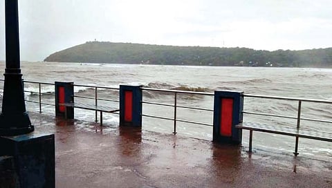 संग्रहीत