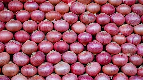 Onion Export Nashik | One thousand crore onion export from Nashik district during the year