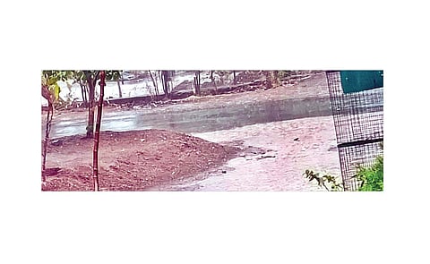 कासार पिंपळगाव परिसरात पाऊस