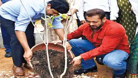 सलमानने केले वृक्षारोपण