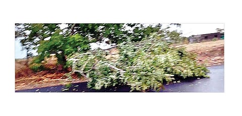 कर्जतमध्ये वादळी वार्यासह पाऊस