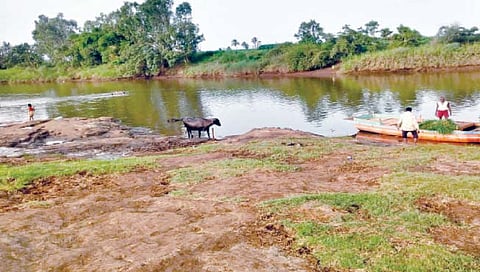 Sangli : वारणा नदीच्या पाणी पातळीत घट