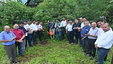 नाशिक : अंबड-सातपूर एमआयडीसी हिरवीगार करणार, वृक्षलागवडीसाठी आयमाचा पुढाकार