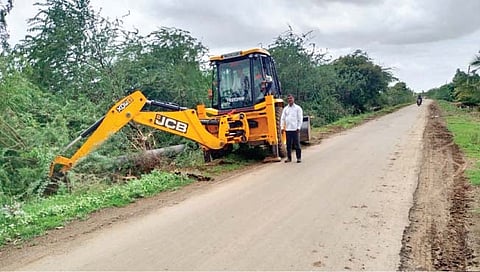 सांगोला : रस्त्याकडेचे काटेरी झाडे काढण्यास सुरुवात