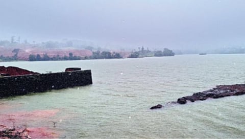 सातारा : फुलांचं ‘कास’ भारी… धरणाचं पाणीही ‘लय भारी’