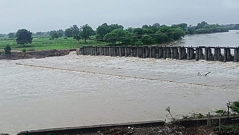 जळगाव जिल्ह्यात पावसाने दाणादाण : कुठे घरं कोसळली तर कुठे गुरे दगावली