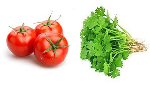 Nashik Market Committee : टोमॅटो दरात 20 रुपयांनी घसरण, तर कोथिंबीर तेजीत