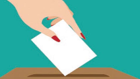 गोवा : डिचोली तालुक्यात रंगतदार लढती अपेक्षित