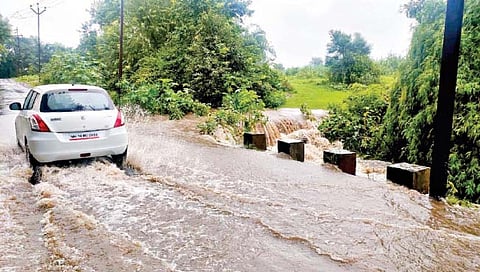 Maharashtra Weather Forecast : ‘या’ जिल्ह्यांत पावसाचा जोर कायम राहणार, मुसळधार ते अतिवृष्टीची शक्यता