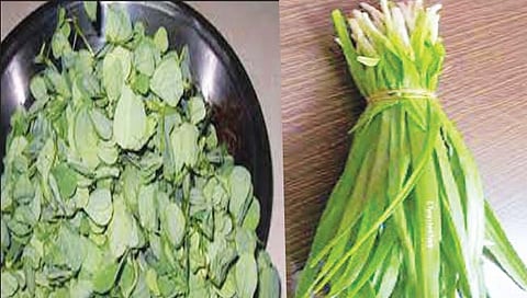 पावसाळी रानभाज्यांसह चिंबोरी, खेकड्यांना मागणी वाढली