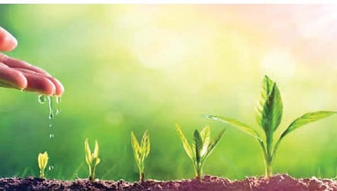 कृषी प्रकाश संश्लेषण पद्धत झाली विकसित