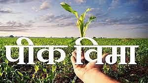 Crop Insurance |