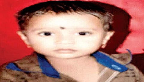 सोलापूर : बोरगावात विषारी मण्यार चावल्याने सहा वर्षीय बालकाचा मृत्यू