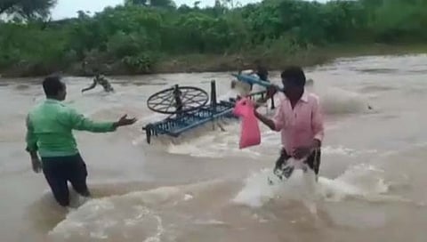 चंद्रपूर : पुरात वाहून जाणारी बैलजोडी बाहेर काढण्यात यश : घटनेचा थरार कॅमेऱ्यात कैद