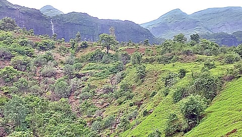 नाशिकच्या ब्रह्मगिरी पर्वताला तडे ; भूस्खलनाचा धोका