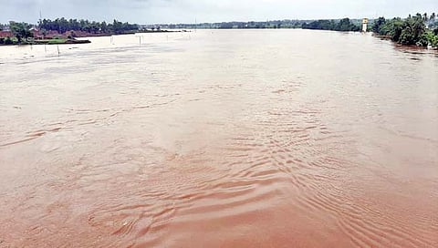 चिकोडी : दरवर्षी महापुराची भीती, नदीकाठची अधोगती