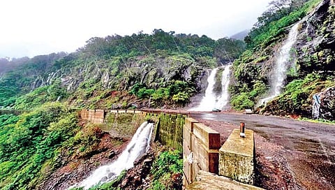 महाबळेश्वरात कोसळधारा