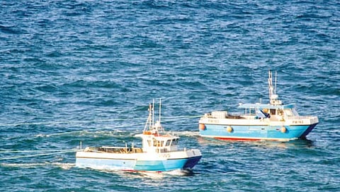 संग्रहित