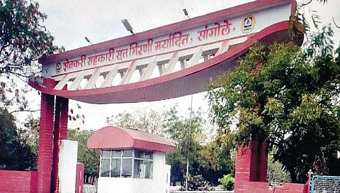 सांगोला : सूतगिरण निवडणूक : छाननी तीन महिन्यांनी