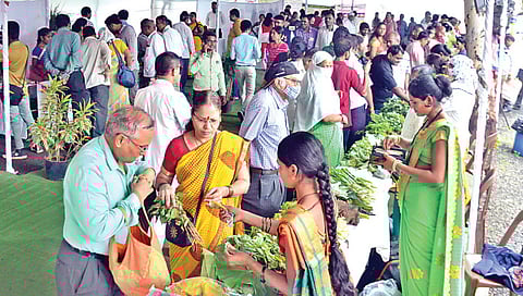 नाशिक : रानभाजी महोत्सवातून आदिवासी संस्कृती जतन- विभागीय आयुक्त गमे