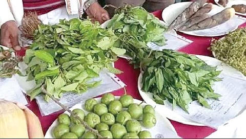 ठाणे : रानभाज्या बहरल्या; आदिवासींना पावसाळी रोजगार