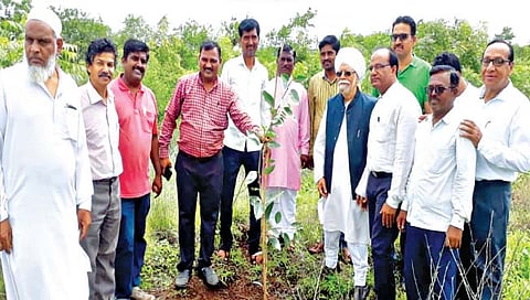 विविध सामाजिक संघटनांकडून वृक्षारोपण